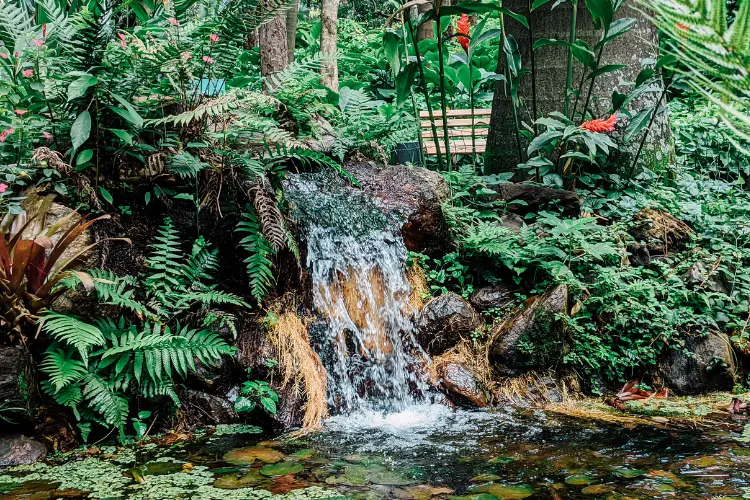 Relaxation waterfall sounds